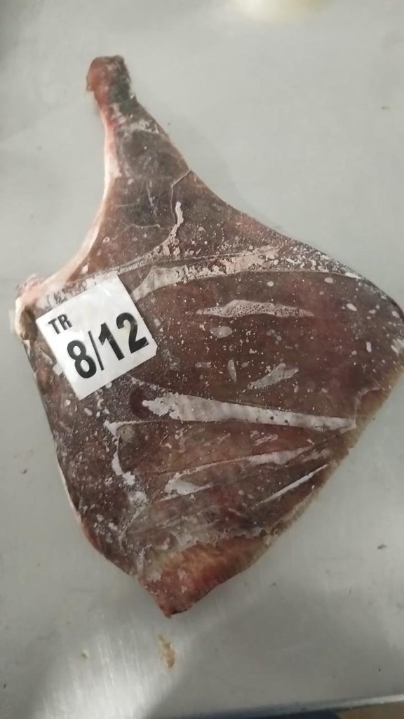 Skate fish fin with skin